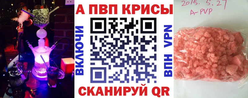 Alfa_PVP СК КРИС Ядрин