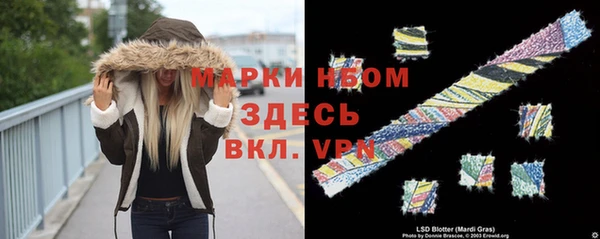 дживик Россошь