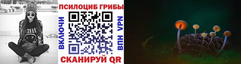 Галлюциногенные грибы Psilocybe Ядрин